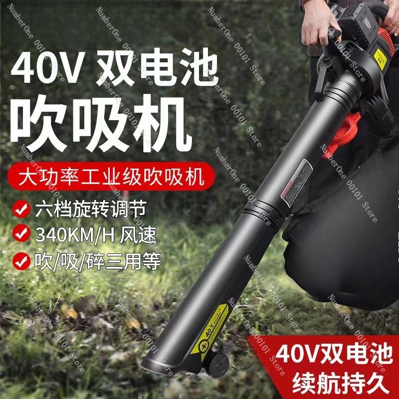 Heavy Duty Industrial Cordless - Leaf Blower Cordless recensione e prezzo