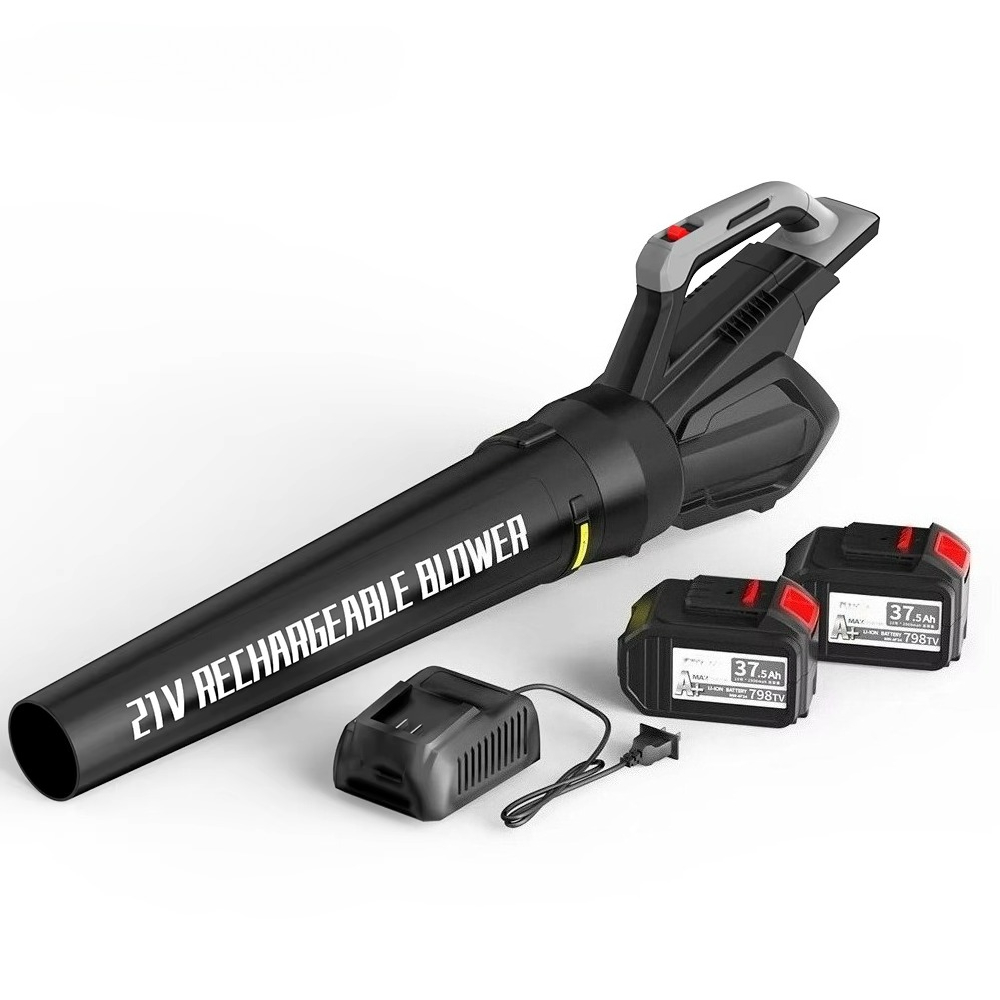 Cordless Leaf Blower with Batt - Leaf Blower Cordless recensione e prezzo