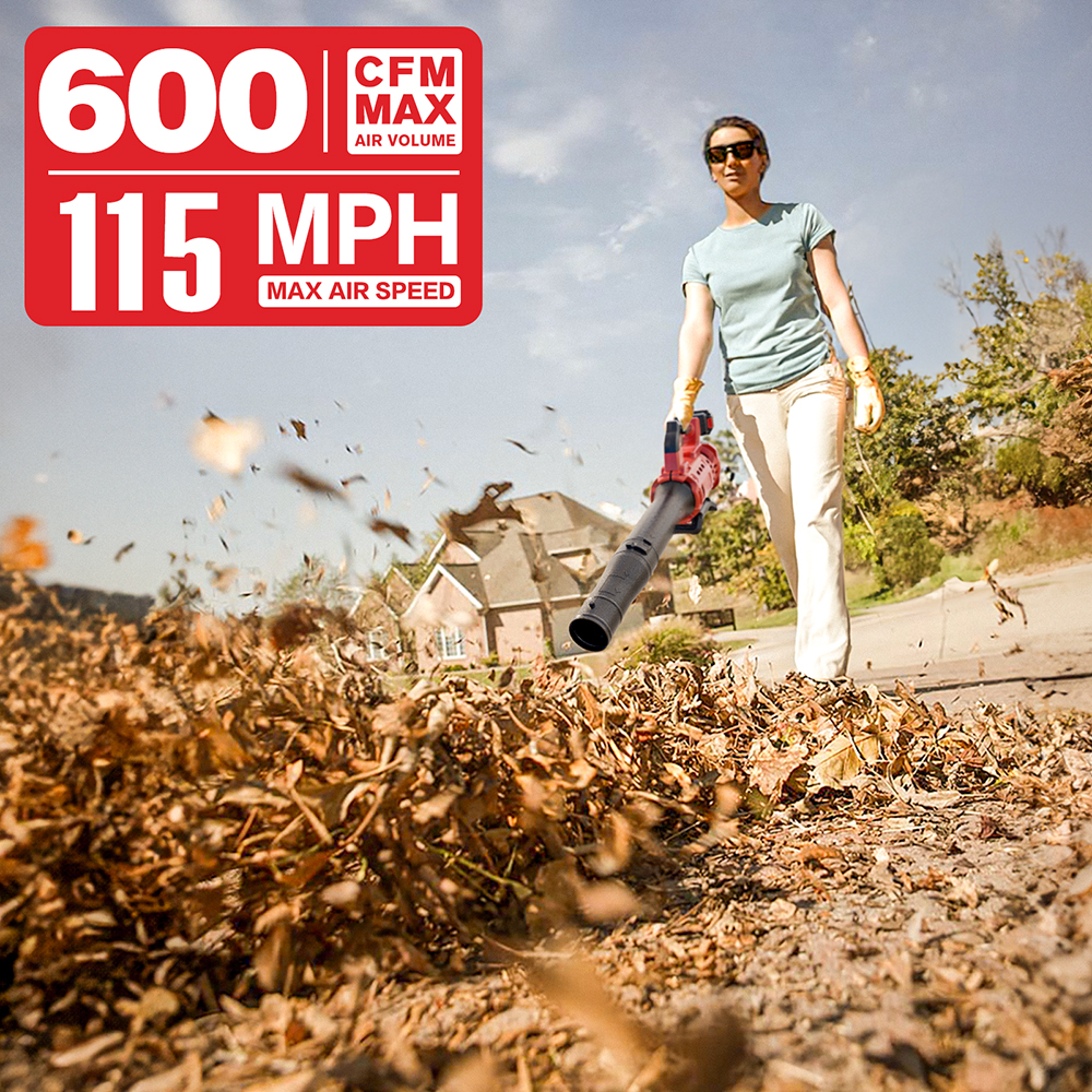 hit productEast High Quality E - Leaf Blower Cordless recensione e prezzo