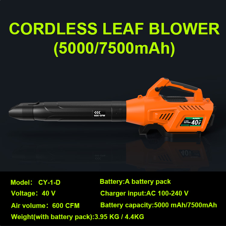 Fast Shipping 40V Industrial P - Leaf Blower Cordless recensione e prezzo